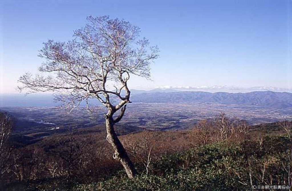 ニセコ高原