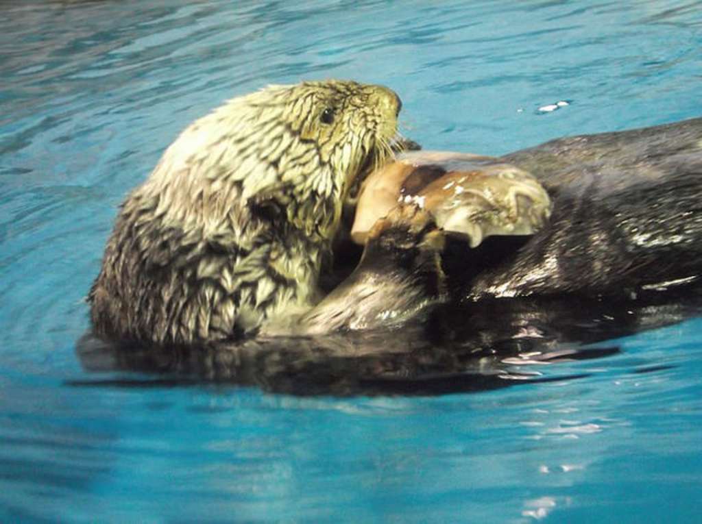 新潟市水族館 マリンピア日本海