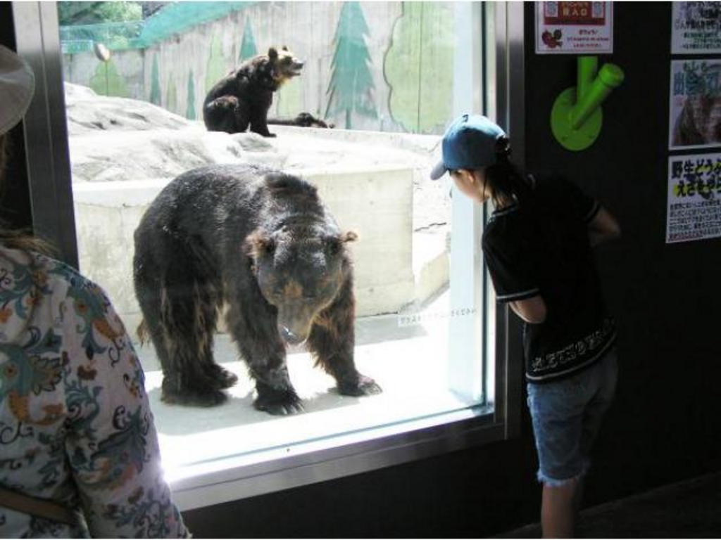 釧路市動物園 春の動物園まつり