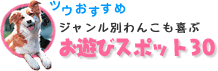 わんこと泊まれる宿探し