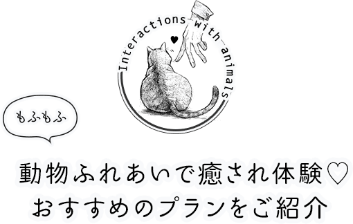 身も心も動物に癒やされよう 猫カフェ ハリネズミカフェなど じゃらんnet