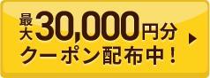 ő30,000~N[|zzI