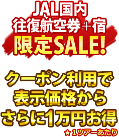 JALq󌔁{h SALEILy[ ڃzeI