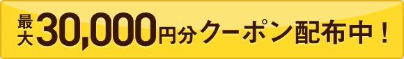 ̗\ɎgI ő30,000~N[|zzI