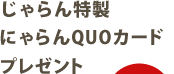 ɂQUOJ[hv[g