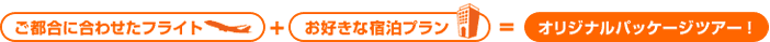 sɍ킹tCg{DȃvIWipbP[WcA[I