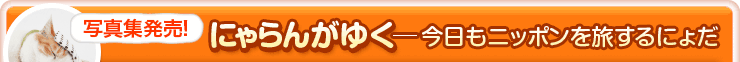 ʐ^WIɂ񂪂䂭[jb|𗷂ɂ傾