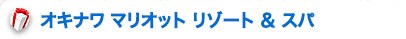 ILi }Ibg ][g  Xp