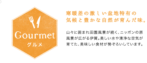 ǧ~nL̋CƖLȎR񂾖B