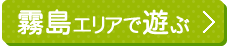 GAŗV