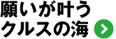 肢NX̊C