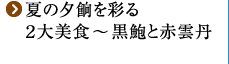 Ă̗[MʂQH ` 鸂Ɛԉ_O