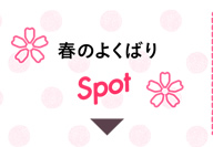 t̂悭΂ Spot