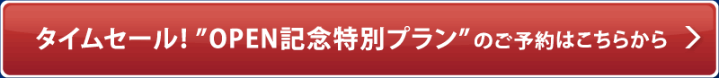 ^CZ[I”OPENLOʃv”̂\͂炩