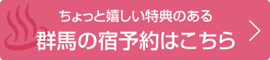 ƊQn̗@hꗖ