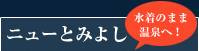 j[Ƃ݂悵
