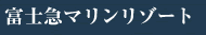 xm}}][g