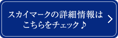 XJC}[N̏ڍ׏͂`FbN