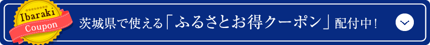 錧Ŏguӂ邳ƂN[|vztI