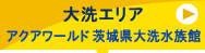 GA ANA[h錧