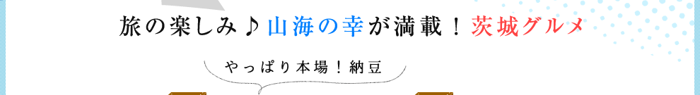 ̊y݁RC̍KځIO