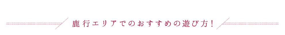 sGAł̂߂̗VѕI