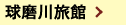엷