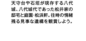 VΊ_锪AłƂ̓@ƒ뉀ElB̏c錩Ȉ\Ϗ܂悤B