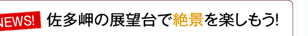 ̓W]ŐiyI