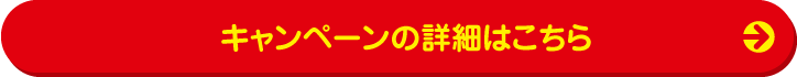Ly[̏ڍׂ͂