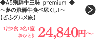 A5ˋO-premium-`̔ˋHאsI`yӃOz 