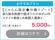 y聟ꃊ][gzCقŗVڂc䂪INXeCᒩH+ٓꌔ