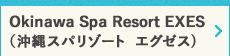Okinawa Spa Resort EXESiXp][g  GO[X) 