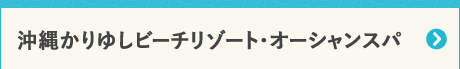 ꂩ䂵r[`][gEI[VXp