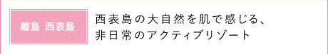 \̑厩R𔧂ŊÃANeBu][g