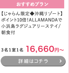 y聟ꃊ][gz|Cg10{IALLAMANDAŏlOWA[XeC/Ht