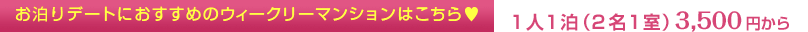 f[gɂ߂̃EB[N[͂!@Pl1i21j3,500~