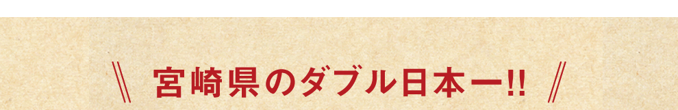 {茧̃_u{II