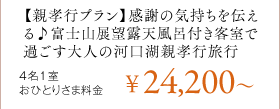 yeFsvzӂ̋C`xmRW]IVCtqŉ߂l̉͌ΐeFss	41ЂƂ肳ܗ\24,200`