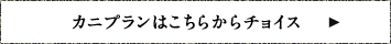 Jjv͂炩`CX
