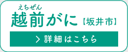 zOɁyszڍׂ͂