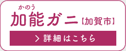 [Kjyszڍׂ͂