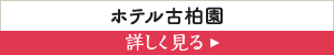 zeÔ@ڂ