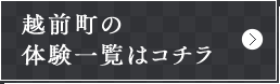 zȎ̌ꗗ̓R`