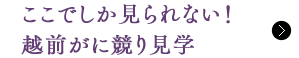 łȂIzOɋ茩w