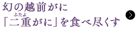̉zOɁudɁvHאs