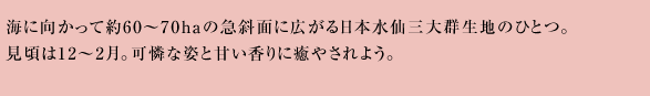 CɌĖ60`70ha̋}ΖʂɍL{OQn̂ЂƂB12`2BȎpƊÂɖ₳悤B