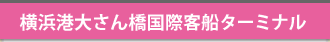 l`傳񋴍ۋqD^[~i