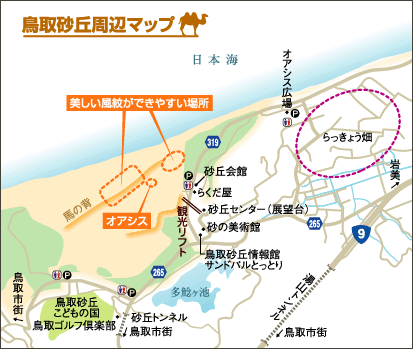 鳥取砂丘周辺マップ 鳥取砂丘周辺マップ