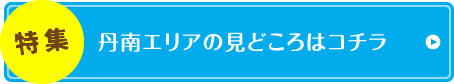 WOGǍǂ̓R`